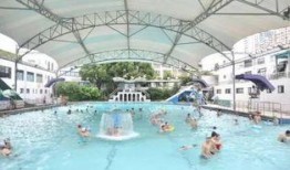 游泳池网红爆料视频播放,揭秘网红圈幕后故事