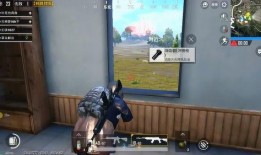 菜鸟解说爆料视频大全集,揭秘幕后故事，带你领略娱乐风云