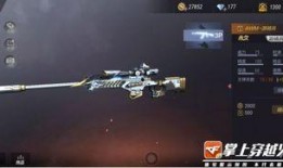 游骑兵皮肤爆料视频下载,全新视觉盛宴，带你领略独特风采